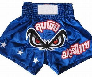 Kickboxing short