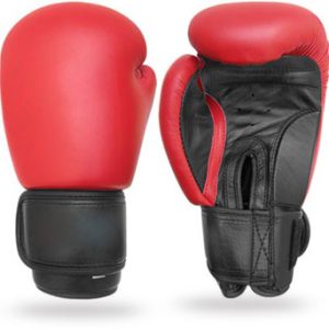 Red and Black Boxing Gloves