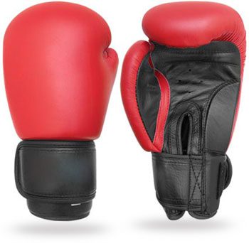 Red and Black Boxing Gloves