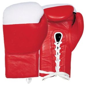 Red Fight Boxing Gloves