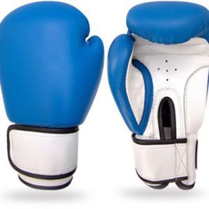 Blue and White Boxing Gloves