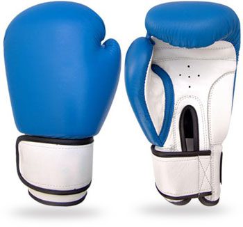Blue and White Boxing Gloves