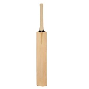 Cricket bat
