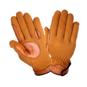 Riding Gloves