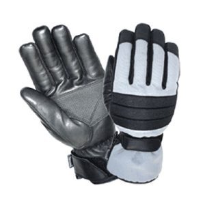 Ski Gloves