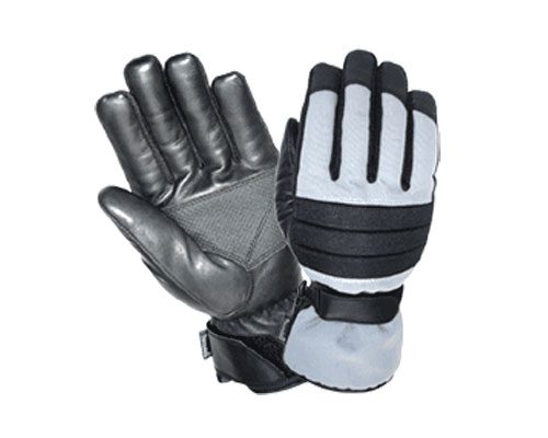 Ski Gloves