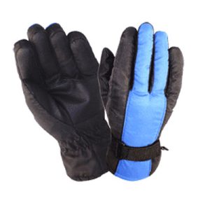 Ski Gloves