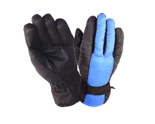 Ski Gloves