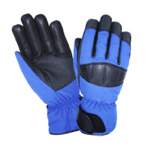 Ski Gloves