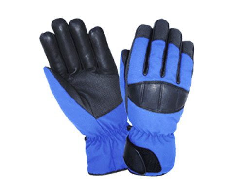 Ski Gloves