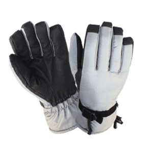 Ski Gloves
