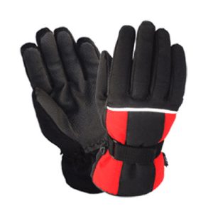 Ski Gloves
