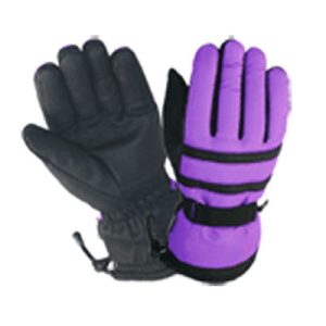 Ski Gloves