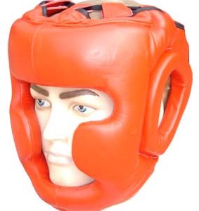 Head Guard