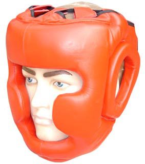 Head Guard
