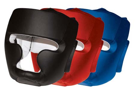 Head Guard