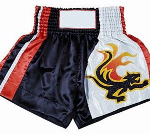 Kickboxing Shorts