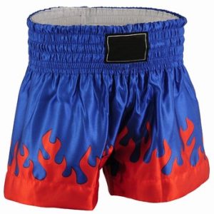 Kickboxing Shorts