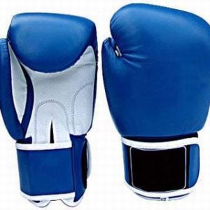 Blue and White Boxing Gloves