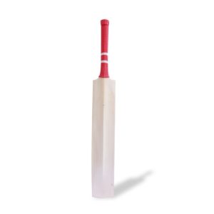 Cricket Bat