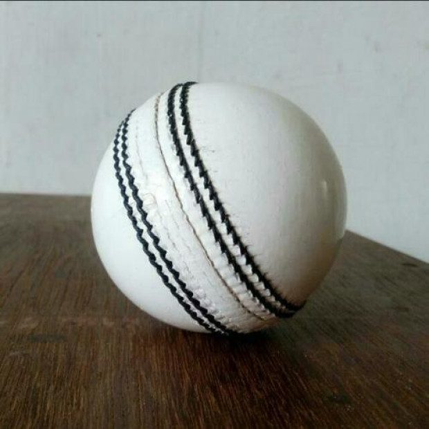 White cricket ball