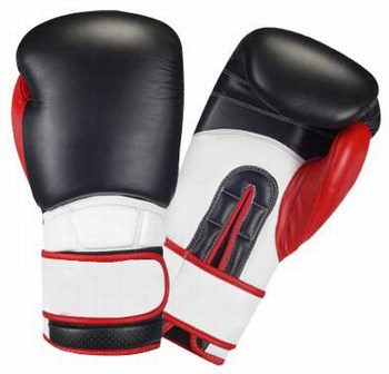 Black White and Red Boxing Gloves